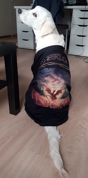 Everlore doggo